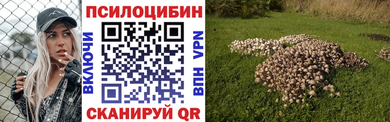 Псилоцибиновые грибы MAGIC MUSHROOMS  как найти закладки  Мончегорск 