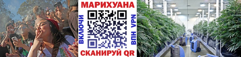 как найти   Мончегорск  Каннабис White Widow 